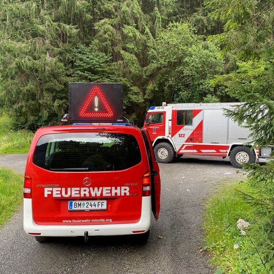 Ein roter Feuerwehrwagen mit blinkendem Warnzeichen steht in einem Waldgebiet. Daneben ist ein roter und weißer Feuerwehrwagen geparkt.