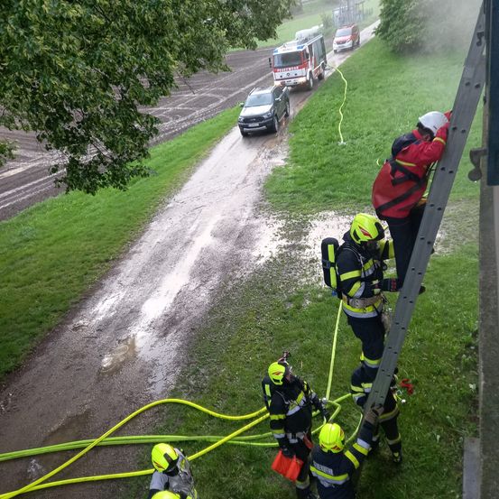Eine Gruppe Feuerwehrleute in gelben und schwarzen Uniformen klettert eine Leiter hinauf, möglicherweise während einer Übung. Sie werden von zwei Personen in roten Jacken begleitet. Das Gebiet ist von Gras umgeben, und in der Ferne befinden sich zwei Fahrzeuge.