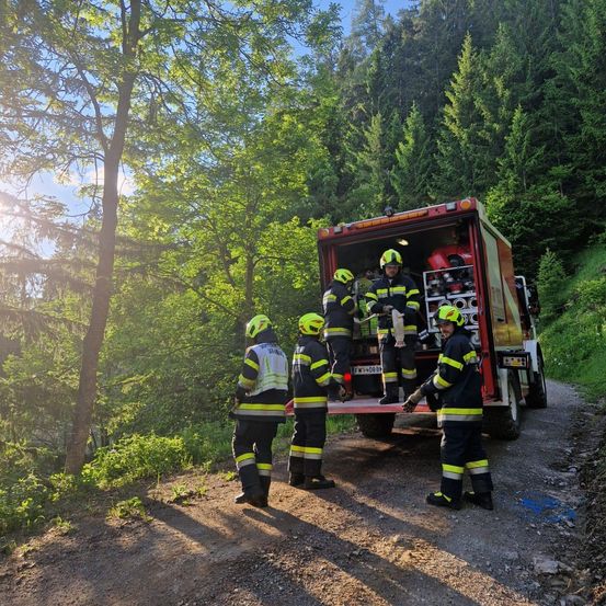 Eine Gruppe Feuerwehrleute in voller Montur lädt Ausrüstung in einen Feuerwehrwagen, der auf einer Waldstraße geparkt ist.