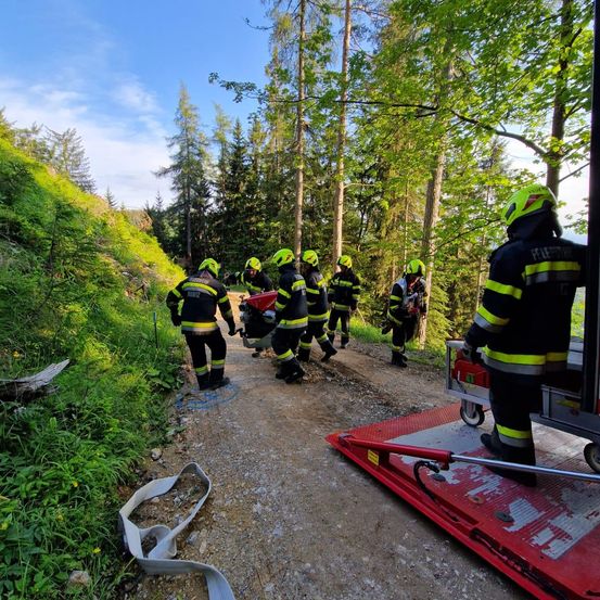 Eine Gruppe von Feuerwehrleuten in Schutzkleidung steht auf einem Feldweg in einem bewaldeten Gebiet. Einige kümmern sich um eine Motorrad.