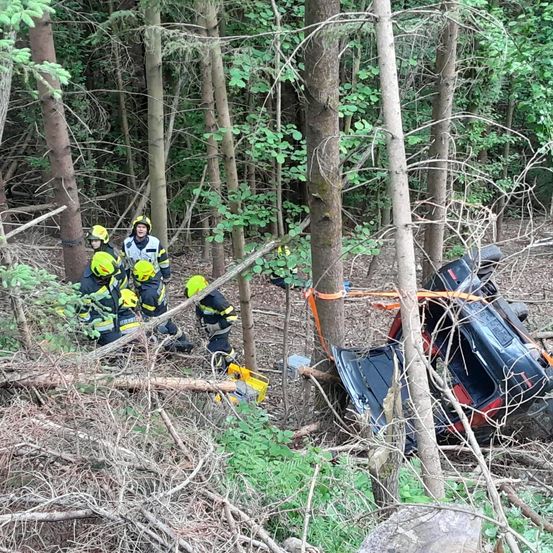 Feuerwehrleute arbeiten daran, ein umgestürztes Fahrzeug aus einem Wald zu entfernen. Fünf Personen sind in Schutzausrüstung zu sehen, die die Situation beurteilen. Das Fahrzeug ist zwischen Bäumen eingeklemmt.