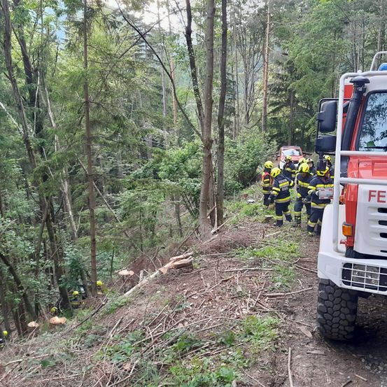 Eine Gruppe von Feuerwehrleuten in gelben Helmen arbeitet in einem Wald. Sie stehen auf einem Hang mit Bäumen und Pflanzen. Ein Feuerwehrwagen ist in der Nähe geparkt.