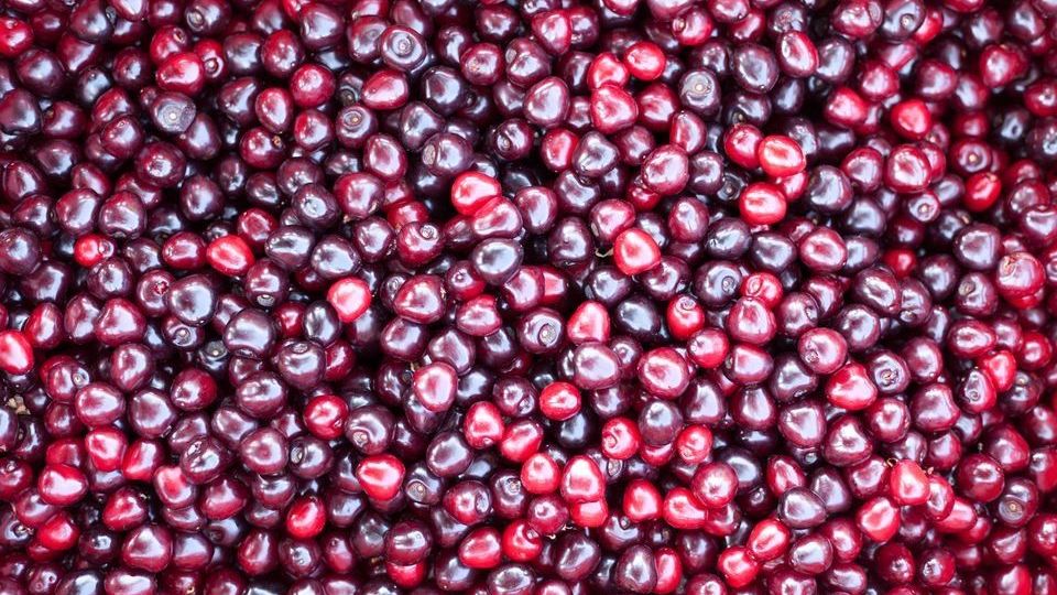 v1_migrated_image_61282080