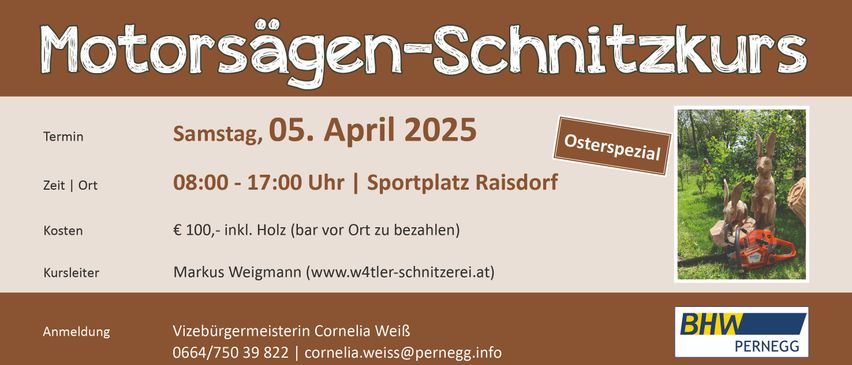 Bild enthält, Advertisement, Poster, Animal, Dinosaur, Reptile, Guitar, Musical Instrument