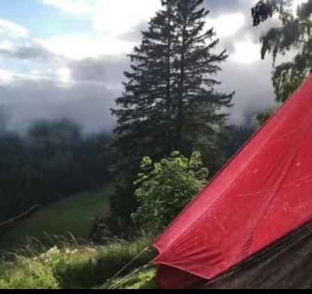 Ein rotes Campingzelt in einem üppigen grünen Bereich mit hohen Bäumen und einem nebligen Hintergrund.
