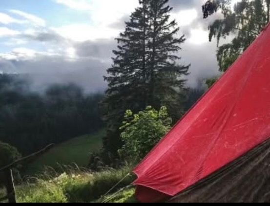 Ein rotes Campingzelt in einem üppigen grünen Bereich mit hohen Bäumen und einem nebligen Hintergrund.