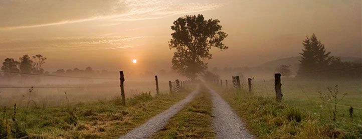 Bei Sonnenaufgang führt eine neblige Landstraße durch ein grasiges Feld, gesäumt von Holzzäunen und umgeben von Bäumen.