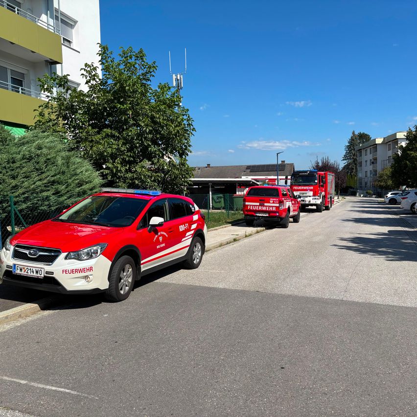 Ein rotes Feuerwehrfahrzeug ist am Straßenrand geparkt, dahinter stehen zwei weitere Feuerwehrwagen. Die Szene spielt sich an einem sonnigen Tag ab, mit Gebäuden und Bäumen im Hintergrund.