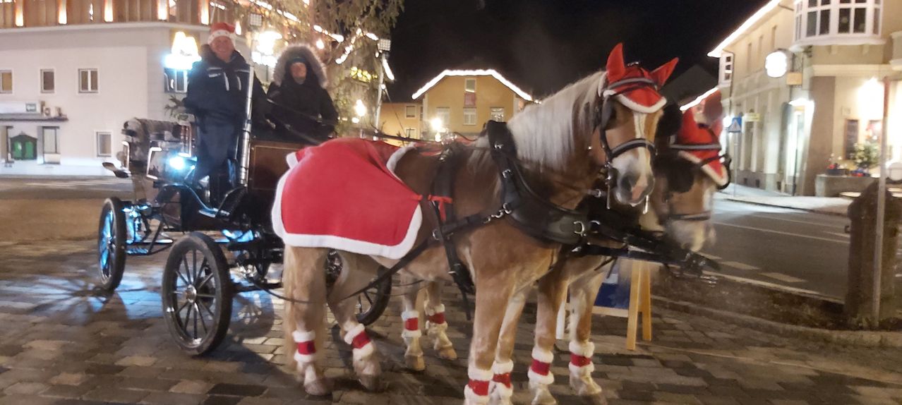 Zwei Pferde in roten und weißen Kostümen ziehen eine Kutsche bei Nacht. Eine Person in einer Winterjacke sitzt in der Kutsche.