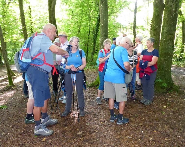 Eine Gruppe von Menschen steht in einem bewaldeten Gebiet, möglicherweise einem Wald, einige tragen Rucksäcke und Brillen. Sie scheinen eine Wanderung zu machen.