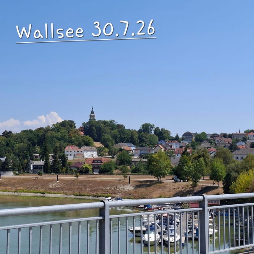 Ein landschaftlicher Blick auf die Stadt Wallsee mit einem Fluss, angedockten Booten und einem klaren Himmel. Das Bild ist vom 30. Juli 2026.