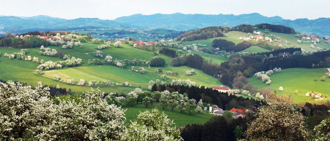 Bild enthält, Landscape, Nature, Outdoors, Scenery, Grass, Vegetation, Countryside, Tree, Woodland, Hill