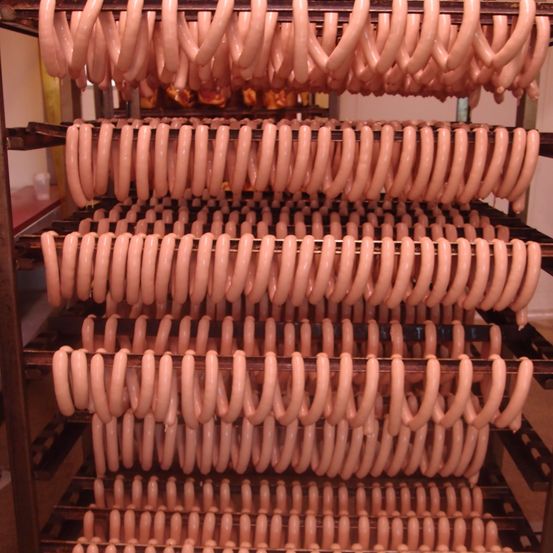 Bild enthält, Animal, Dinosaur, Reptile, Pottery, Cookware, Pot