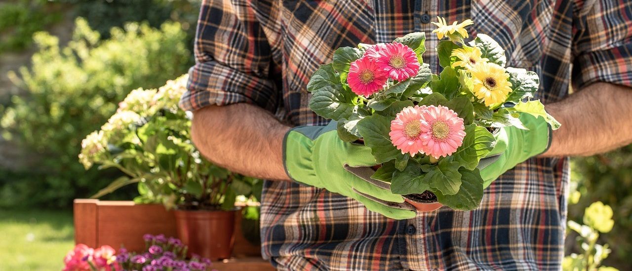 Bild enthält, Garden, Nature, Outdoors, Flower, Flower Arrangement, Flower Bouquet, Gardening, Gardener, Person, Man