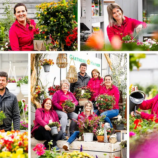 Bild enthält, Garden, Nature, Outdoors, Gardening, Adult, Female, Person, Woman, Potted Plant, Gardener