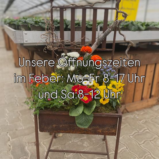 Bild enthält, Potted Plant, Jar, Planter, Pottery, Vase, Garden, Flower, Flower Arrangement, Gardening, Flower Bouquet