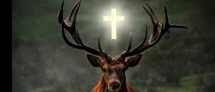 Animal, Deer, Mammal, Wildlife, Elk, Antelope, Antler