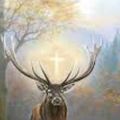 Animal, Deer, Mammal, Hunting, Dog, Adult, Female, Person, Woman, Elk