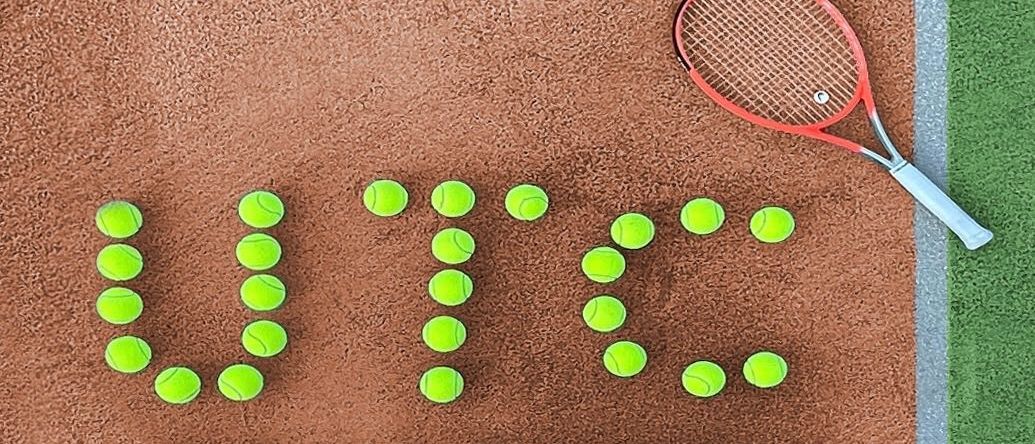 Bild enthält, Racket, Sport, Tennis, Tennis Racket, Ball, Tennis Ball