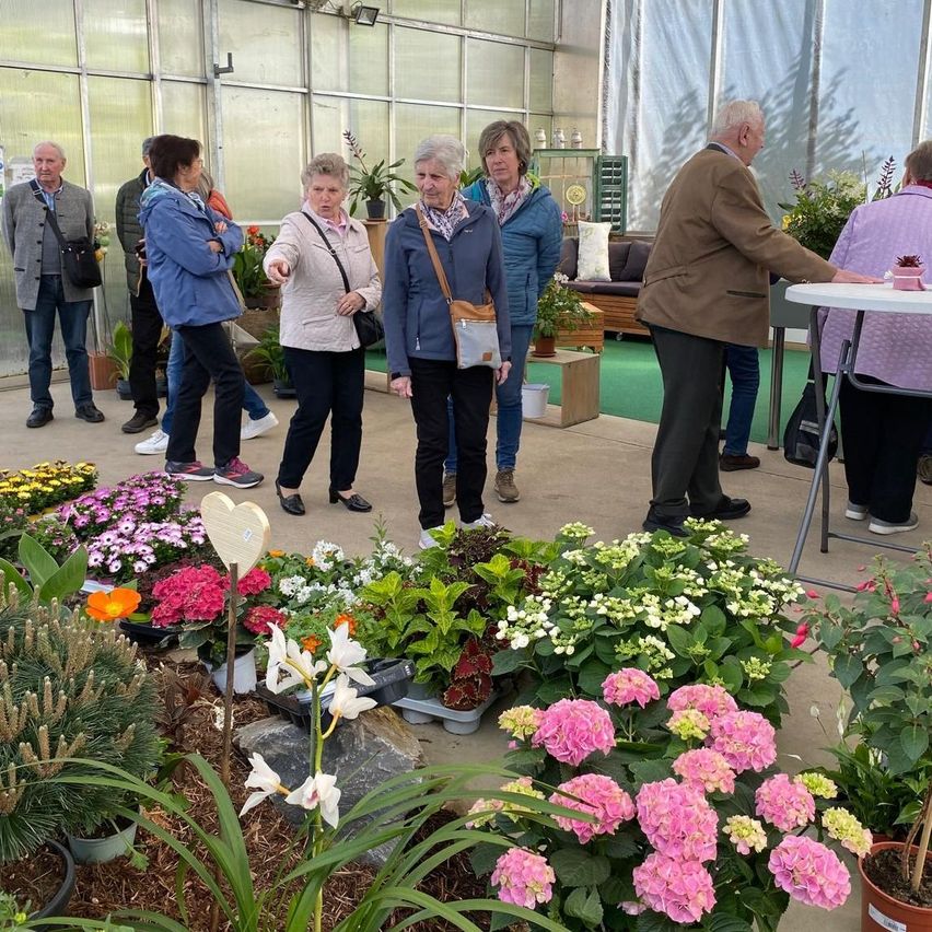 Bild enthält, Garden, Gardening, Adult, Female, Person, Woman, Male, Man, Handbag, Crowd