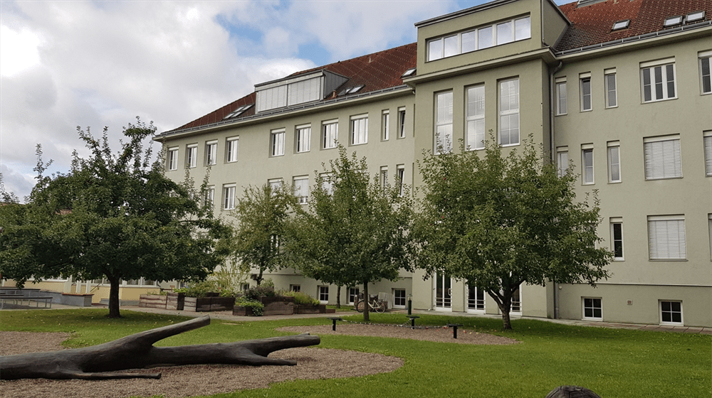 v1_migrated_image_22588561