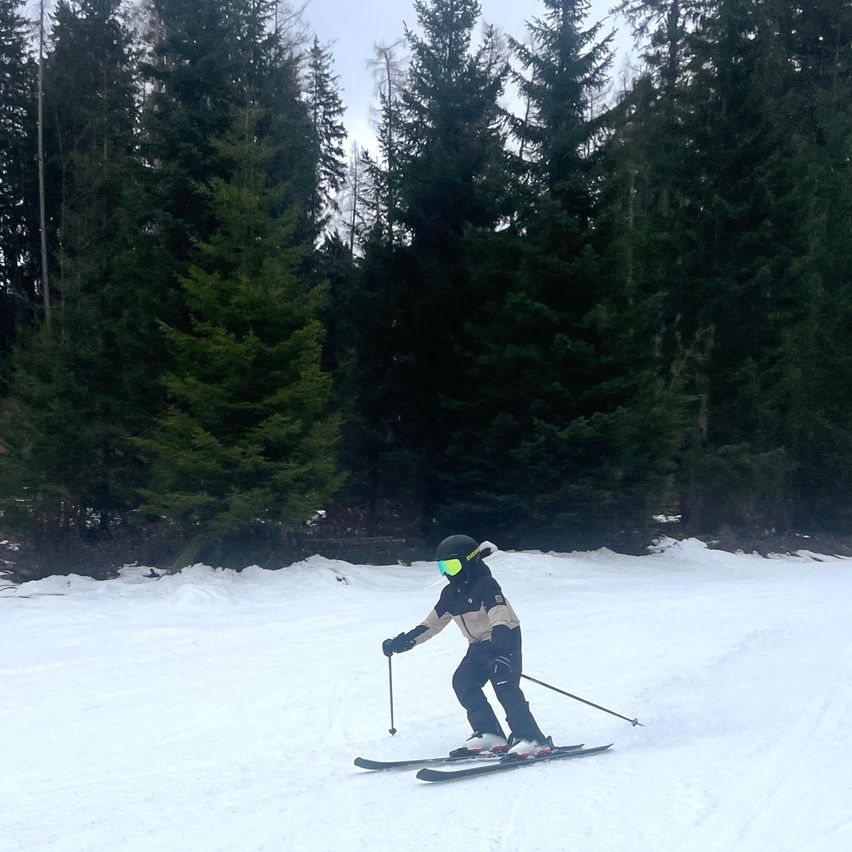 Ein Skifahrer gleitet den verschneiten Hang hinab, mit hohen immergrünen Bäumen im Hintergrund. Der Skifahrer trägt einen Helm, eine Brille und Skier.
