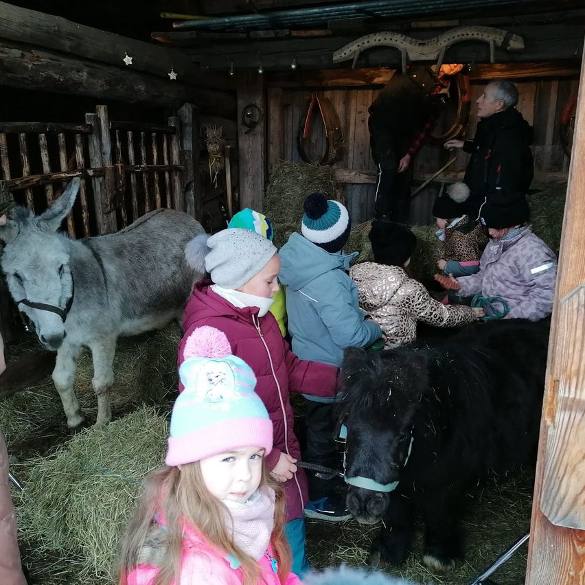 Mehrere Kinder sind in einer Scheune mit einem Esel und einem schwarzen Pony. Einige streicheln die Tiere, während andere zuschauen. Zwei Erwachsene sind ebenfalls anwesend, einer mit einer Kamera.