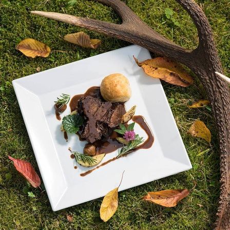 Ein Gericht aus Fleisch und Gemüse auf einem weißen Teller im Freien auf Gras, umgeben von Herbstblättern.