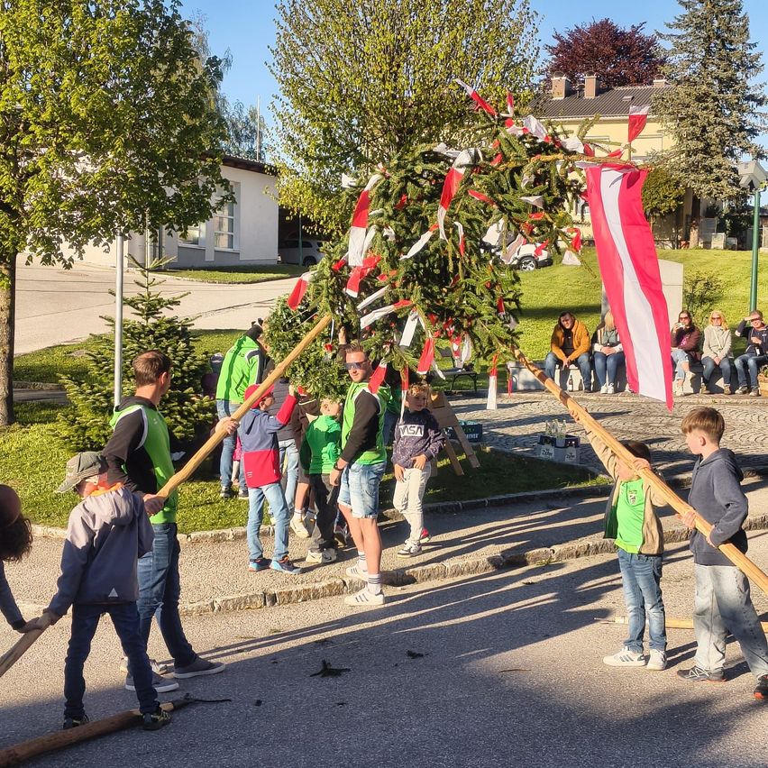 Eine Gruppe von Kindern und Erwachsenen hebt einen geschmückten Baum in einem öffentlichen Bereich. Dahinter sitzen Leute auf einer Bank und schauen zu. Eine Flagge hängt am Baum.