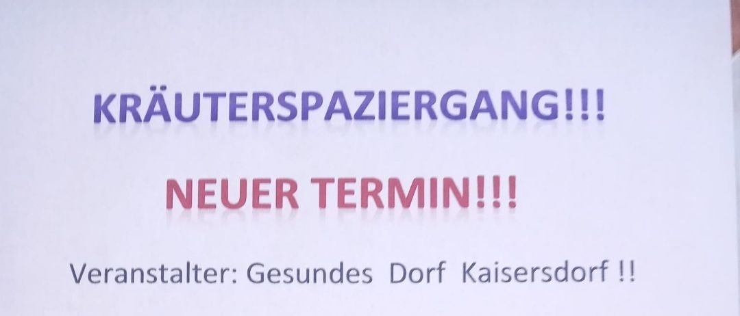 Ein Plakat kündigt einen neuen Termin für eine Kräuterwanderung an. Die Veranstaltung wird von Gesundes Dorf Kaisersdorf ausgerichtet. Das Treffen findet am Donnerstag, den 29. Mai 2025, um 14 Uhr am Parkplatz des Freibads in Kaisersdorf statt. Die Teilnehmer sollen Decken, ein Messer, eine Schere und einen Korb mitbringen. Nur bei schönem Wetter findet die Wanderung statt. Eine Anmeldung ist nicht erforderlich.