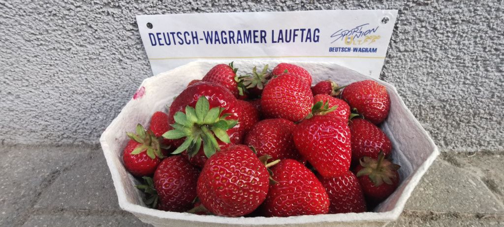 Eine Schüssel voller reifer Erdbeeren mit einem blauen Etikett, das 'Deutsch-Wagramer Lauftag' besagt, steht auf einer Betonfläche.