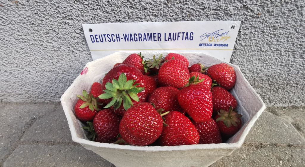 Eine Schüssel voller reifer Erdbeeren mit einem blauen Etikett, das 'Deutsch-Wagramer Lauftag' besagt, steht auf einer Betonfläche.