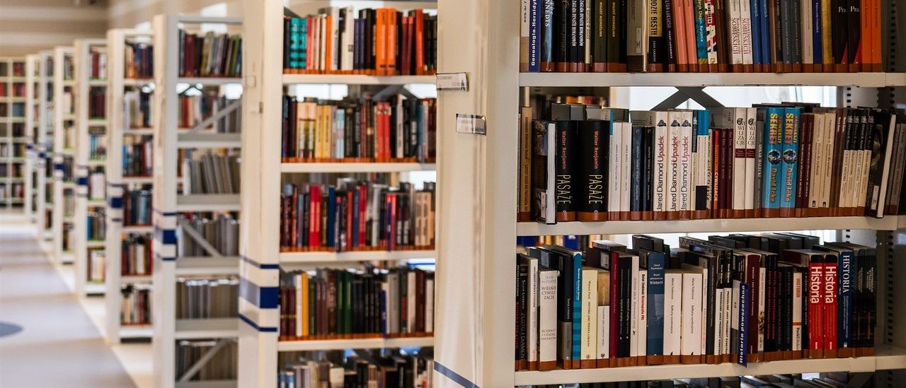 Bild enthält, Furniture, Bookcase, Book, Indoors, Library, Publication