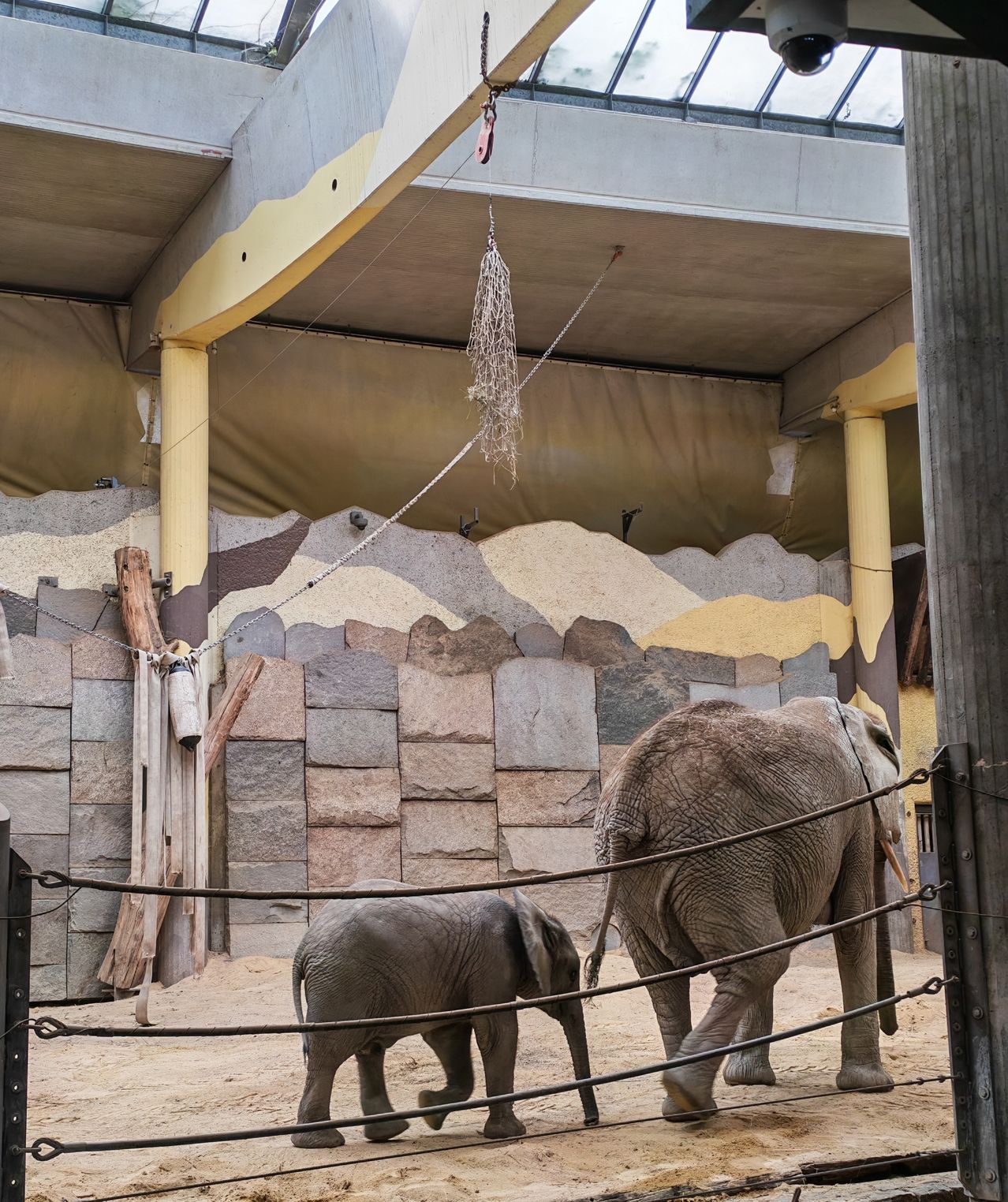 Ein erwachsener Elefant und ein Baby-Elefant gehen in einem Indoor-Zoo-Gehege. Das Gehege hat eine Steinmauer und ein Dach mit einer Überwachungskamera.
