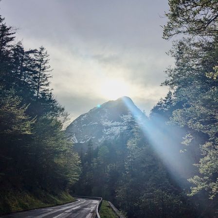 Bild enthält, Flare, Light, Sunlight, Road, Vegetation, Tree, Sky, Scenery, Highway, Tarmac