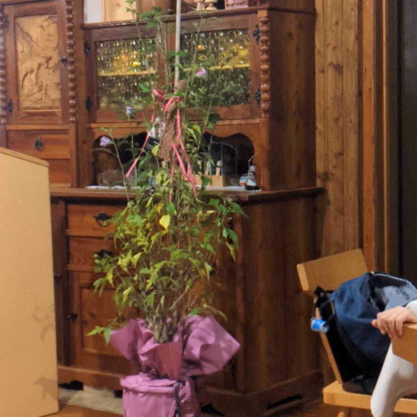 Bild enthält, Potted Plant, Jar, Planter, Pottery, Vase, Interior Design, Wood, Hardwood, Cabinet, Furniture