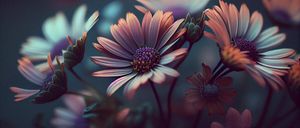 Bild enthält, Daisy, Flower, Plant, Petal, Anther, Outdoors, Pattern, Nature