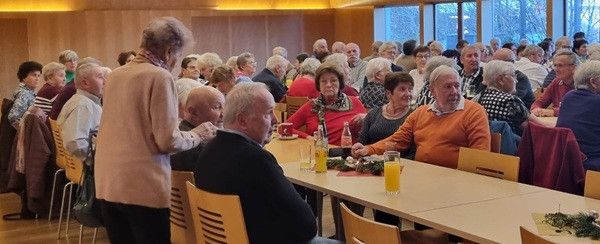Eine Gruppe älterer Menschen sitzt in einem Saal an Tischen, einige unterhalten sich, andere genießen Getränke. Der Raum hat Holzwände und große Fenster.