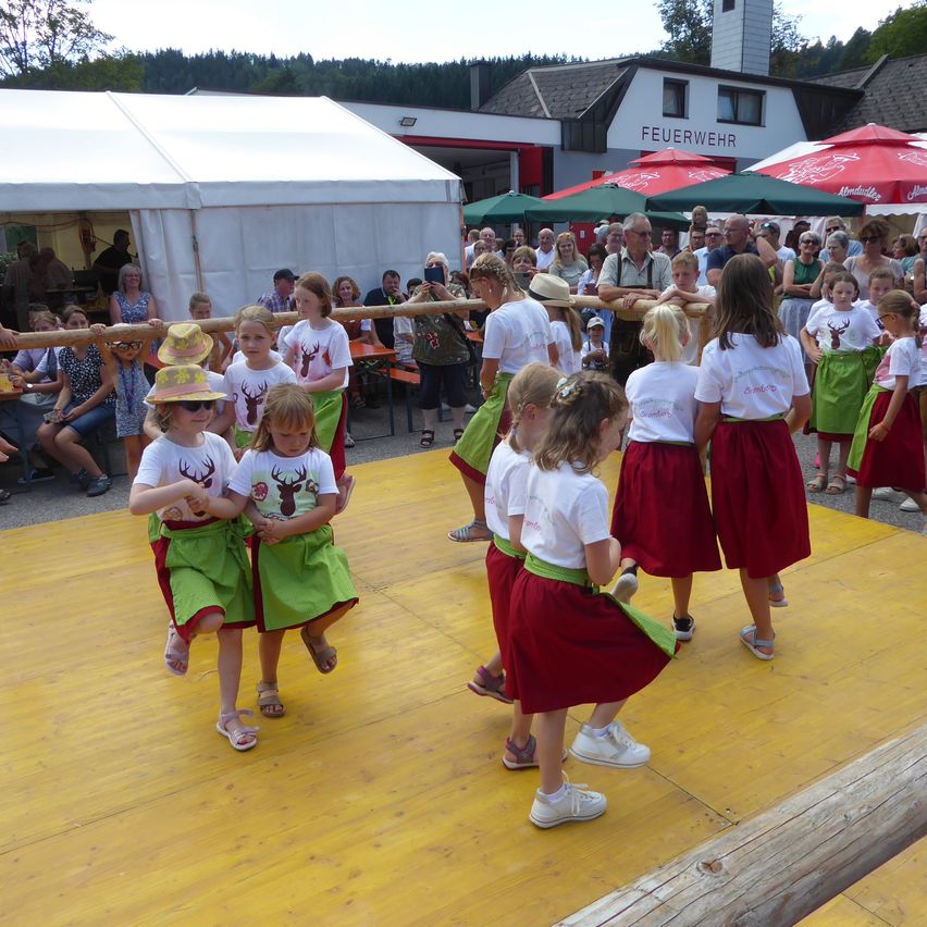 Bild enthält, People, Person, Wood, Dancing, Child, Female, Girl, Skirt, Shoe, Flooring