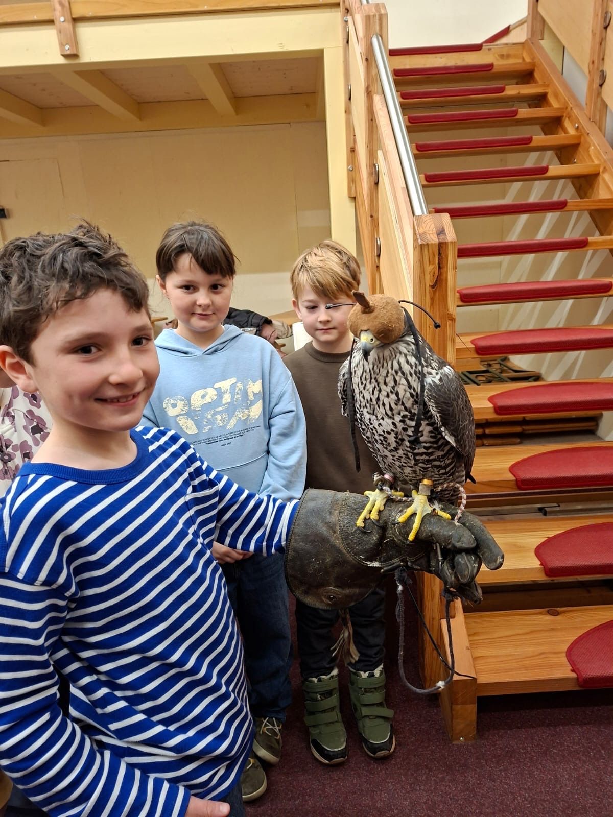 Drei Jungen sind in einem Raum. Einer von ihnen hält einen Falken. Der Junge im blauen Hoodie schaut nach vorne, während der andere Junge hinter ihm zur Seite schaut. Hinter ihnen befindet sich die hölzerne Treppe.