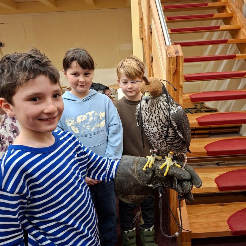 Drei Jungen sind in einem Raum. Einer von ihnen hält einen Falken. Der Junge im blauen Hoodie schaut nach vorne, während der andere Junge hinter ihm zur Seite schaut. Hinter ihnen befindet sich die hölzerne Treppe.