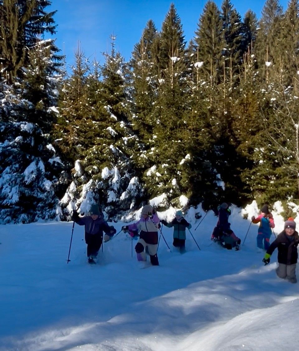 Eine Gruppe von Menschen skifahrert im Schnee mit Skistöcken und trägt Winterkleidung. Die umliegenden Bäume sind schneebedeckt.