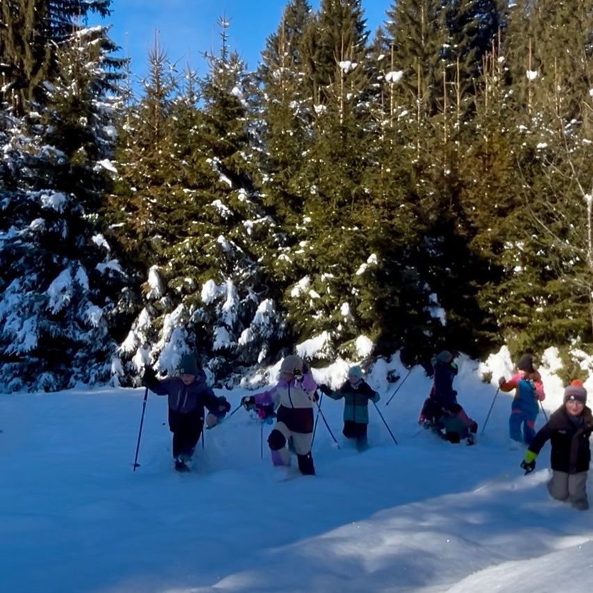 Eine Gruppe von Menschen skifahrert im Schnee mit Skistöcken und trägt Winterkleidung. Die umliegenden Bäume sind schneebedeckt.