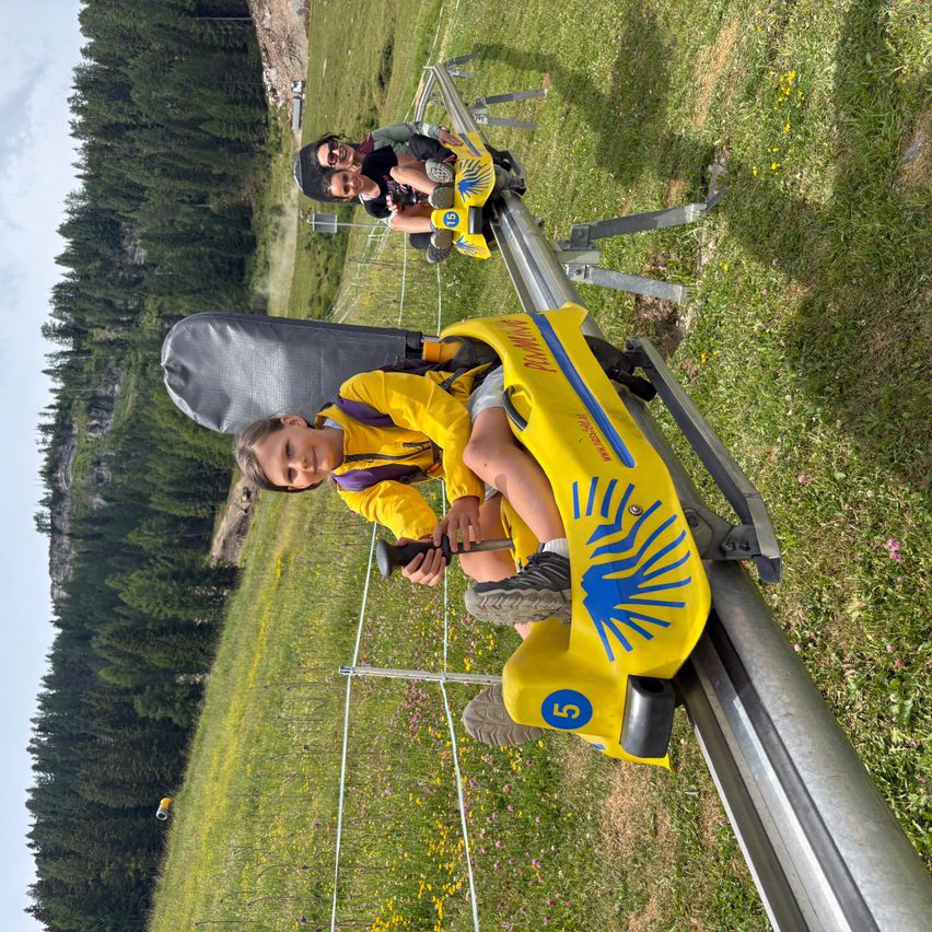 Ein Kind und ein Erwachsener fahren auf einem gelben Bobsled eine grasbewachsene Hügel hinunter, mit Bäumen und einem bewölkten Himmel im Hintergrund.