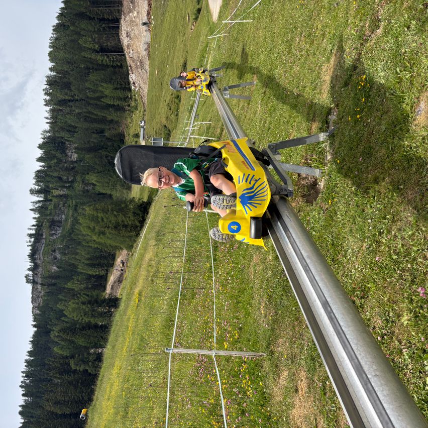 Eine Person fährt einen gelben Bobsled eine Strecke hinunter durch eine üppige grüne Landschaft mit hohen Bäumen.
