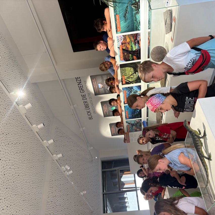Eine Gruppe von Kindern erkundet eine Museumsausstellung, betrachtet verschiedene Exponate und einen großen Eidechsen. Die Wand ist mit farbenfrohen Gemälden geschmückt.