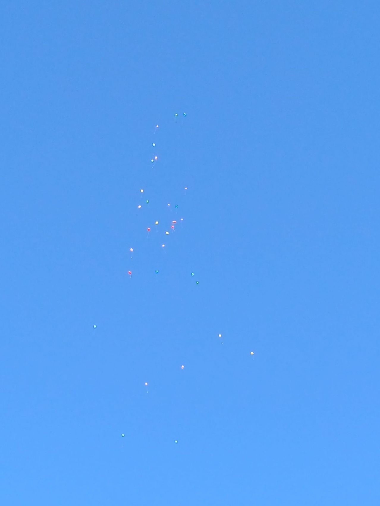 Ein Cluster aus bunten Luftballons schwebt in einem klaren blauen Himmel und steigt diagonal auf.