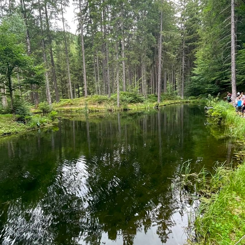 Ein ruhiger Waldteich mit Menschen, die auf dem Grasufer stehen, umgeben von hohen Bäumen und üppiger Grünfläche.