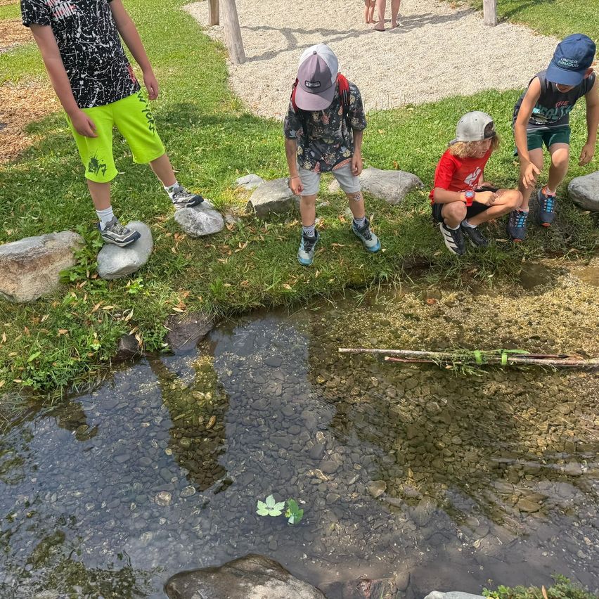 Vier Kinder erkunden einen kleinen Bach in einem Park. Drei knien am Wasser, während eines auf einem Felsen steht.
