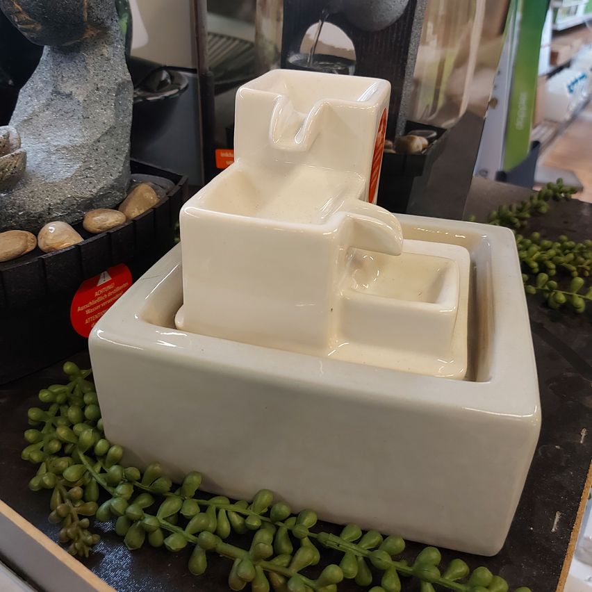 Bild enthält, Person, Food, Cheese, Text